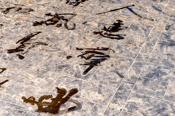 It's Hieroglyphs at the Temple of Heaven complex