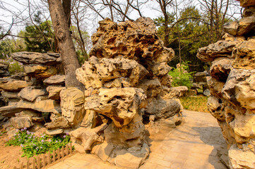 It's Nature of the Beijing Zoo, a zoological park in Beijing, China. Founded in 1906