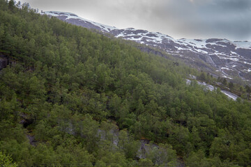 Fototapeta premium mountain landscape with trees