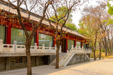 It's Nature of the Beijing Zoo, a zoological park in Beijing, China. Founded in 1906