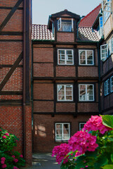 Fototapeta na wymiar Brown brick building with white windows, pink flowers in the front. Typical architecture of Hamburg, Germany on a sunny day. 