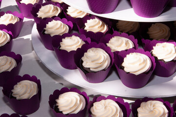 display of cupcakes in purple wrappers and white frosting