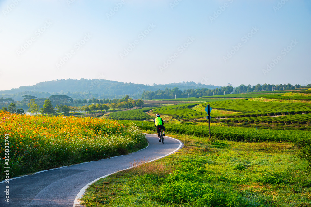 Wall mural man ride bicycle on bicycle lane in the parks with cloud blue sky at singha park , chiang rai , thai