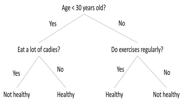 Decision three example using body data to predict healthy or not healthy people based on input data.
