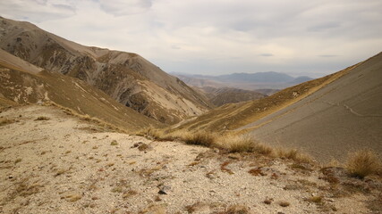 hakatere conservation park dessert lookalike