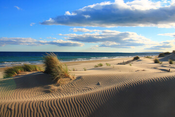 Natural and wild beach with a beautiful and vast area of dunes, Camargue region in the South of...