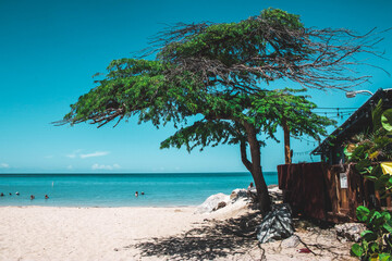 Meet Me By The Shore