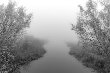 Black and White Landscapes of Overijssel in the mist, The Netherlands