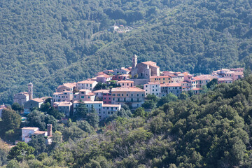 Fototapeta na wymiar Village landscape in Elba island