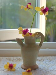 Closeup brown old teapot with yellow orchid flowers on the window side ,macro image ,soft focus ,sweet color for card design