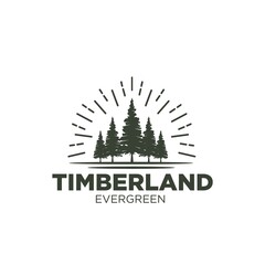 Rustic Retro Vintage pine, evergreen, fir, hemlock, spruce, conifer, cedar, coniferous, cypress, larch, pinus trees logo design