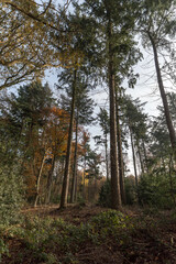 Fototapeta premium The Verwolde estate, The Netherlands