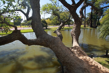 Parks and Gardens of Buenos Aires City
