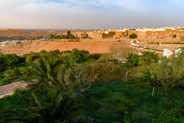 Fototapeta na wymiar Nature of Ghardaia (Tagherdayt), Algeria, located along Wadi Mzab, UNESCO world heriatage site