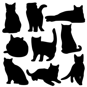 Cats in different poses. Cats stand, jump, sleep, lie. Vector image.