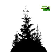 Landscape nature trees on the hill. Christmas trees on the mountain. Flying birds in the forest. Vector illustration