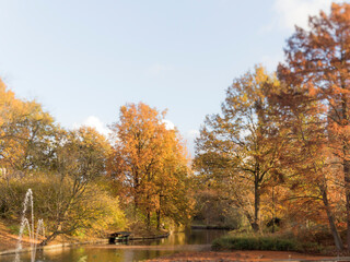 Fototapeta premium Tilt-shift photo of the botanical gardens in Utrecht 