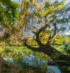 Fototapeta premium View of Loboc river on Bohol island, Philippines