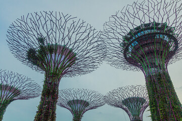 SINGAPORE, SINGAPORE - MARCH 10, 2018: Supertree grove at the Garden by the Bay, Singapore