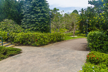 Paths in Singapore Botanic Gardens.