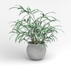 Fototapeta na wymiar 3D plant grass abstract wallpaper background