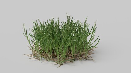 3D plant grass abstract wallpaper background
