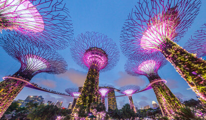 SINGAPORE, SINGAPORE - MARCH 11, 2018: Evening view of Supertree Grove in Singapore