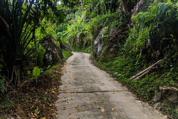 Path heading to Penang hill, Malaysia