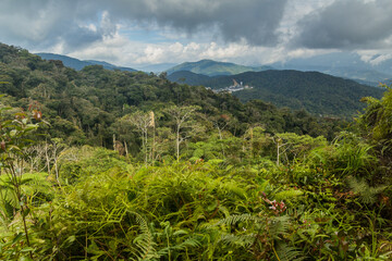 Landscape of the Cameron Highlands, Malaysia