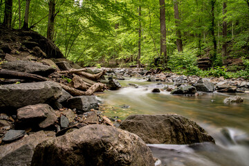 river 1