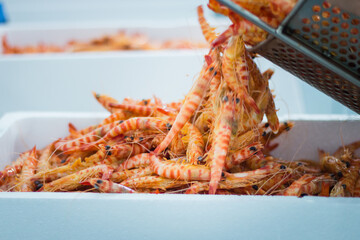 Cocedero de mariscos