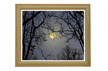 Beautiful frame of full moon in the night
