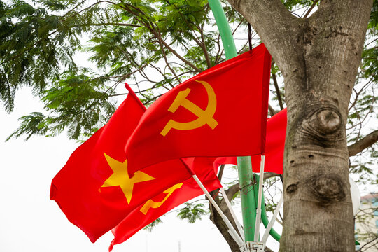 Waving national flags of Vietnam on the tree