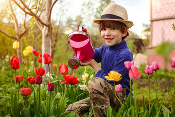 Сhild in the garden watered flowers from a watering can in the summer. Kid gardener has fun working in the park in spring. A boy in a hat enjoys caring for plants, grooming tulips. Bottom view
