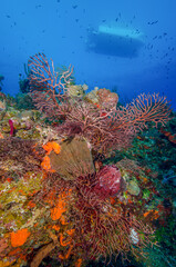 A Dive Boat Over a Reef at Turks and Caicos