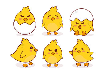 cute cartoon chicks design. Chicken animal character design