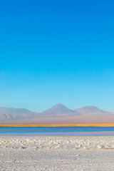 Cejar lagoon and Licancabur volcano in Atacama, Chile.