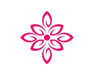 Fototapeta premium Beautiful leaf and flower
