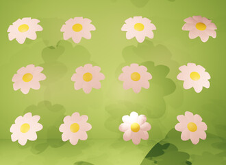 3d many white flower on green background with light and shadow 3D rendering