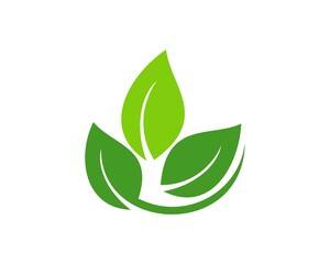 Simple three leaf
