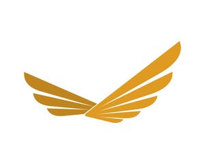 Abstract eagle wings with gold colors