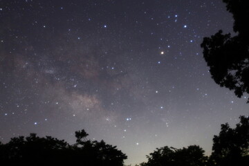 天の川とさそり座