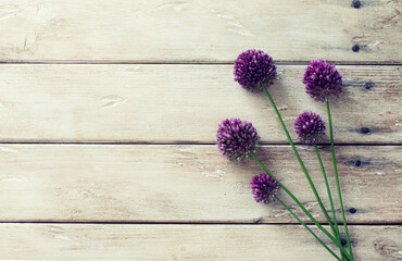 Allium flowers on natural wooden background © annata78