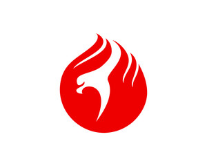 Obraz premium Fire ball with eagle inside