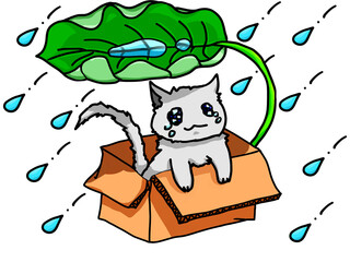 雨風をダンボールと葉っぱで防ぐかわいそうなネコ