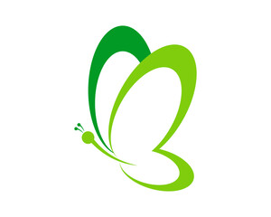 Abstract butterfly with green colors