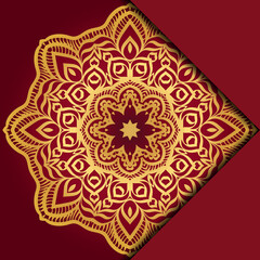 Mandala background. Vector illustration. For book cover