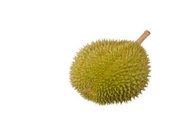 Durian king of fruit