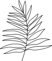 modern minimalist line art palm leaf