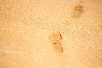 Footprints from children's feet in the clear sea sand